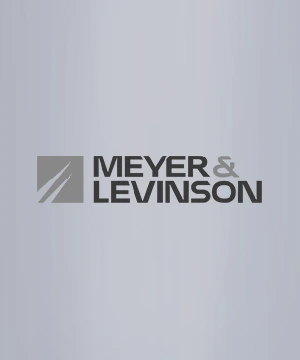Meyer&Levinson - Crosssec Partner